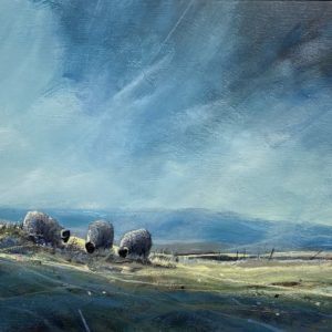Sudden Light on the Edge of the Moor
