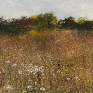 End of Summer Meadow, Yorkshire Wolds