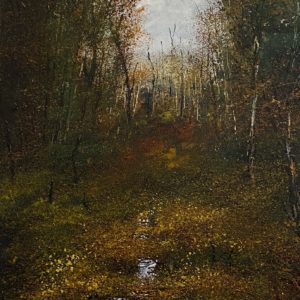 Autumn Woodland, Hackfall, Yorkshire