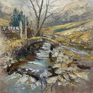 Littondale, Cosh Beck near Foxup